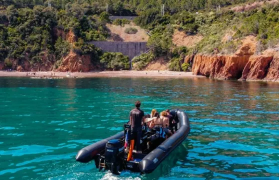 埃斯特雷爾峽灣：戛納出發1.5小時船遊