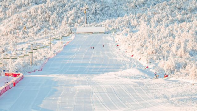 Perjalanan satu hari ke Gunung Xiling + Lapangan Tianfu + Gang Lebar Sempit di Chengdu, Sichuan dengan layanan bahasa Cina dan Inggris