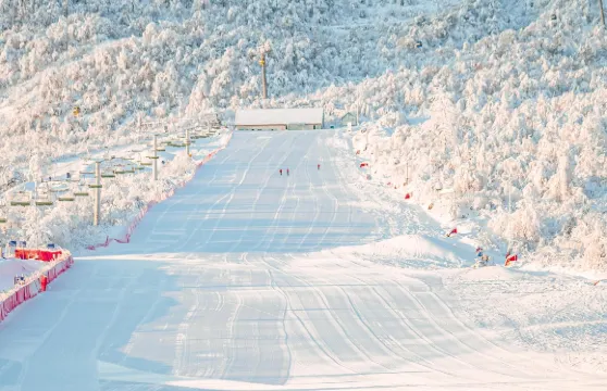 四川成都西嶺雪山+天府廣場+寬窄巷子一日遊可中英文服務