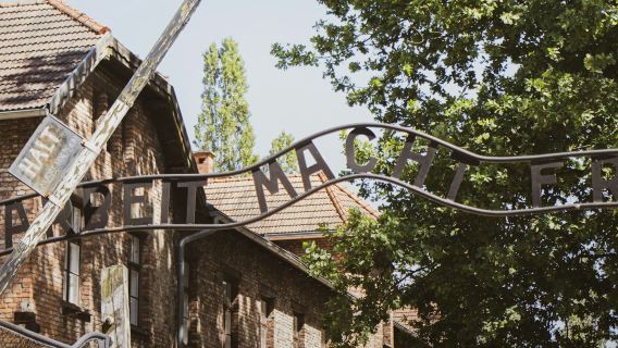 Auschwitz-Birkenau: visita guidata + trasporto