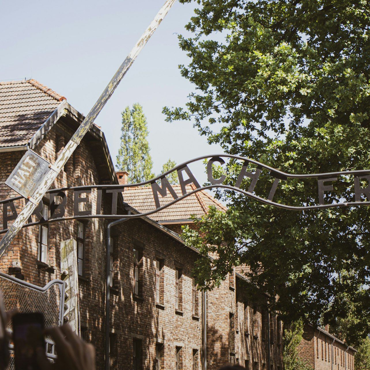 Auschwitz-Birkenau: Visita guiada + Transporte