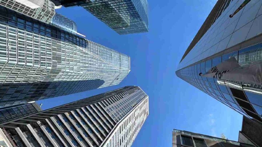 法蘭克福棕櫚園+動物園+美茵塔+法蘭克福城市森林中文包車一日遊