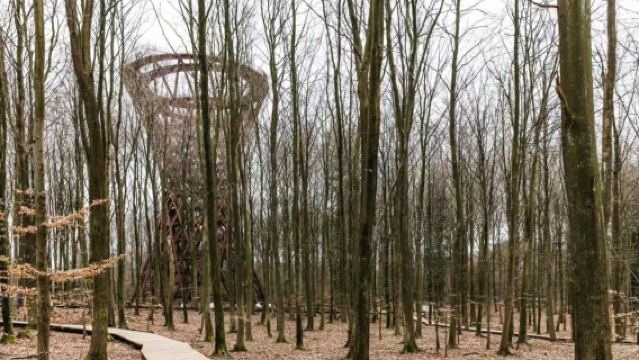 Round-trip panoramic natural aesthetics tour from Copenhagen, Denmark to Møn Island's chalk cliffs coast and treetop walkway