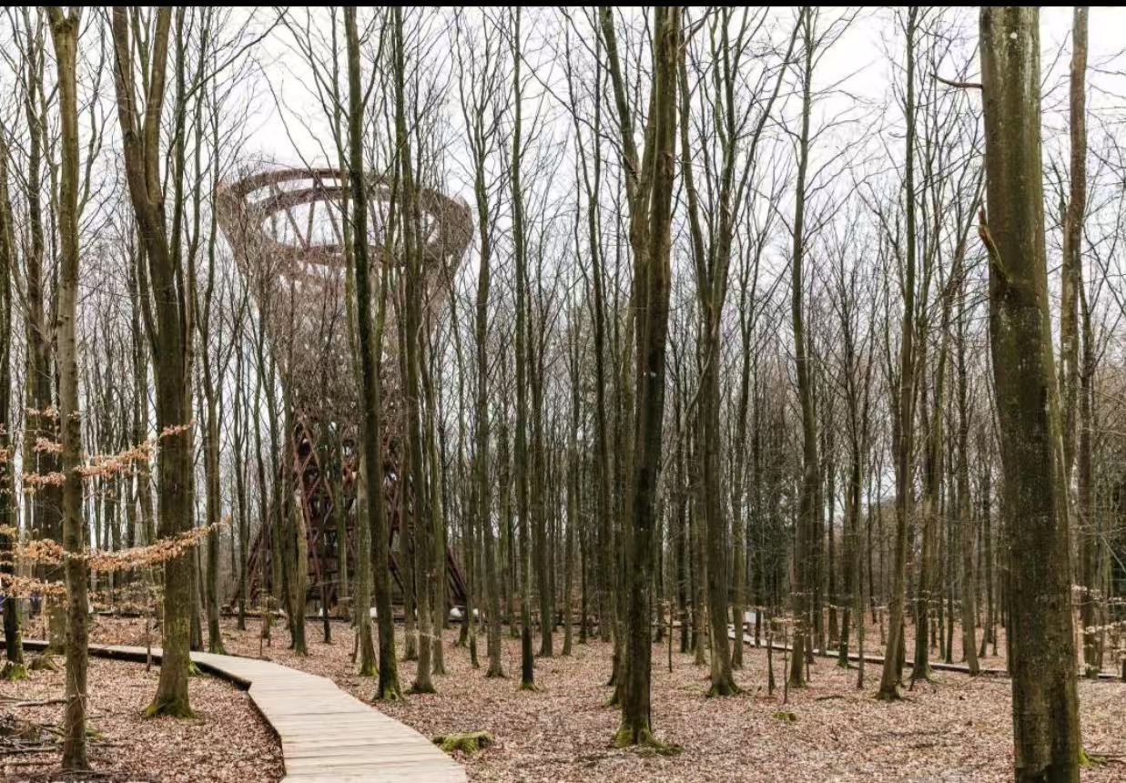 丹麥哥本哈根來回默恩島白堊懸崖海岸+樹冠步道全景自然美學之旅