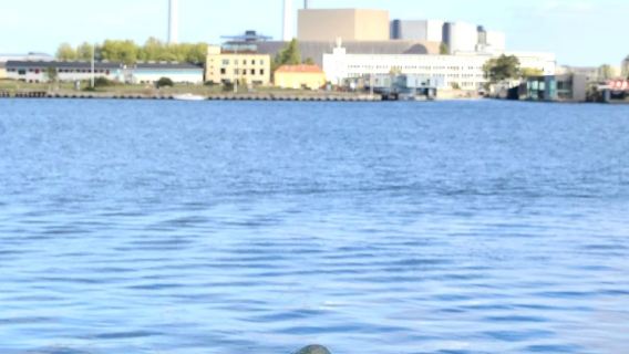 Copenhagen, Denmark - North Zealand Twin Castles + Coastal Fishing Village - Private Charter - Top Pick