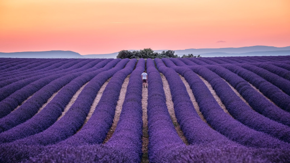 Valensole + Moustiers-Sainte-Marie + Verdon Natural Regional Park + Lake of Sainte-Croix