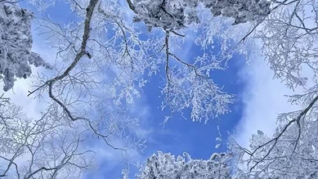 Winter Laolike Lake Crossing Day Tour