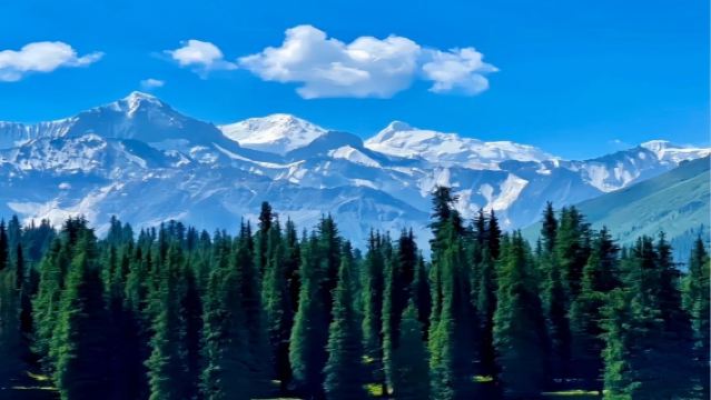 恰西草原大巴團一日遊【純玩，含門票，區間車】