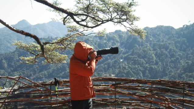 Get off at the direction of China No.1 Boundary Monument and arrive directly at Maomao Ball [Black Bear Cave + Alpine River + Maomao Ball]