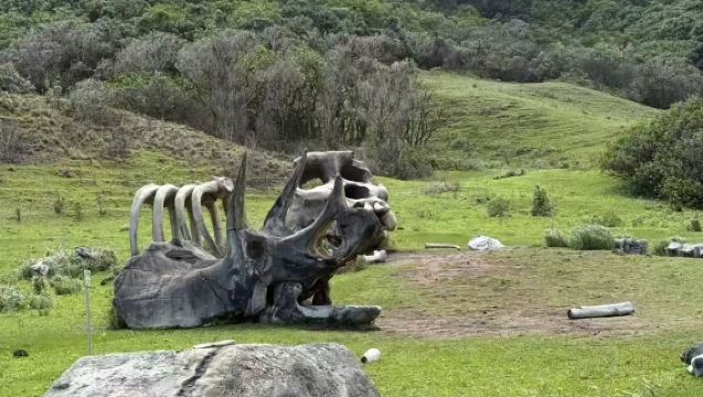 สหรัฐอเมริกา ฮาวาย: ประสบการณ์รถ UTV Raptor ที่คัวลาแล่น [สถานที่ถ่ายทำภาพยนตร์กว่า 200 เรื่อง]