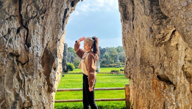 Excursión de un día al lugar pintoresco del Condado autónomo yi de Shilin en tour privado independiente + incluye entrada + coche eléctrico + guía + recogida en el hotel