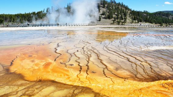 Salt Lake City, Amerika pergi-balik + Taman Negara Yellowstone + Taman Negara Grand Teton [Sewaan Peribadi Loop Disesuaikan]