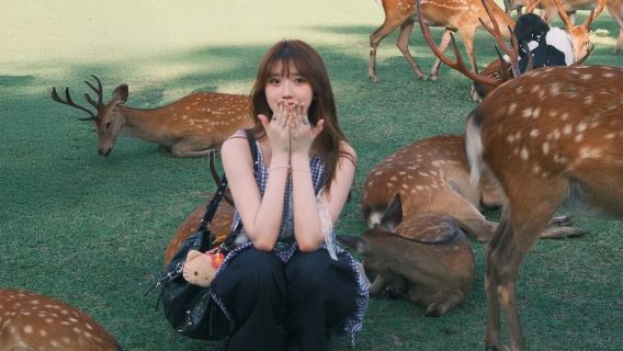 [Pilihan Jemputan] Lawatan Sehari Osaka Kyoto Nara dengan Rusa Comel di Jepun, Kuil Fushimi Inari & Kuil Kiyomizu