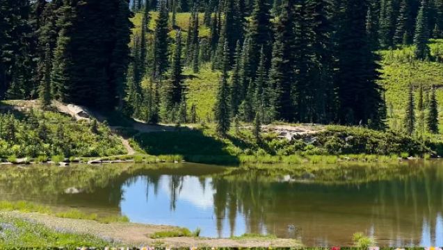 1-day tour to Mount Rainier National Park [English-speaking group]