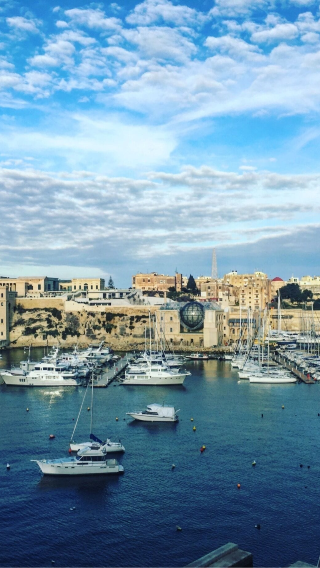 St. John's Co-Cathedral + Grand Master's Palace + Upper Barrakka + Vittoriosa + Għajn Tuffieħa Gardens