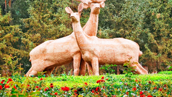 Lawatan Sehari ke Taman Bukit Merah Xinjiang + Taman Botani Urumqi (Lawatan Sewa Peribadi Eksklusif dengan Pengangkutan Pintu ke Pintu)