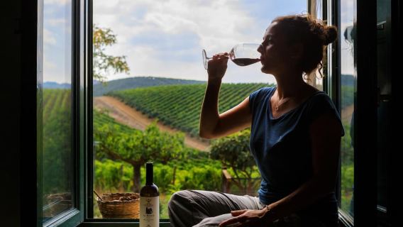 Camporeale: Sallier de La Tour Wine Discovery Tour
