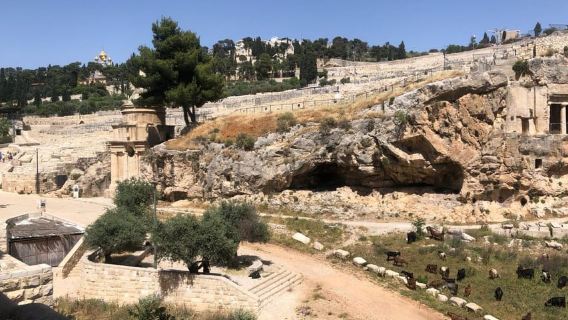 The Israel Museum and Ein Kerem Jerusalem Tour