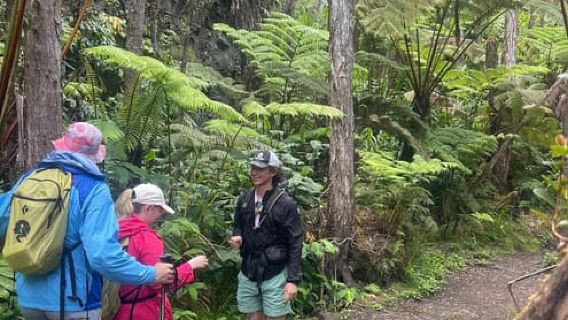 Kilauea: Volcanoes National Park Guided Hike