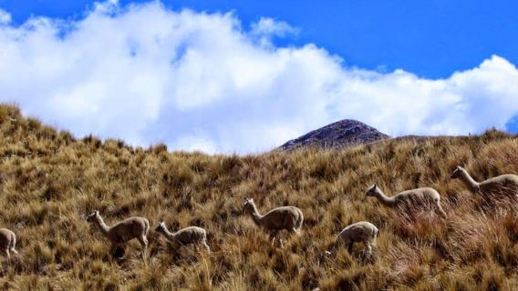 Lima | Huancaya - Retiro del Paraíso Escondido