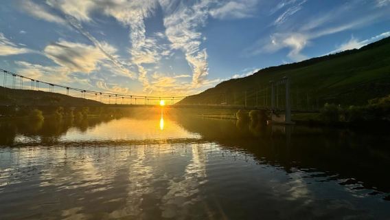 Bernkastel: 1-stündige Panorama-Bootstour nach Lieser, Mülheim und zurück