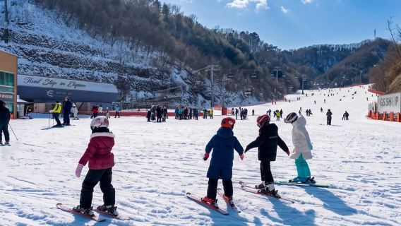 Từ Seoul: Tour trong ngày đến Khu nghỉ dưỡng trượt tuyết Elysian