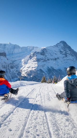 From Zurich: Alpine Winter Sledging Adventure Private Tour