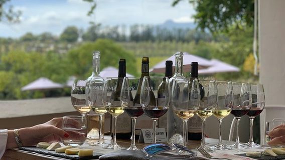 StellenboschTours