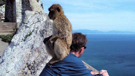 GibraltarTours