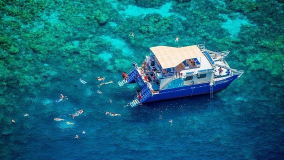 The Big Island (Hawaii island)Experiences