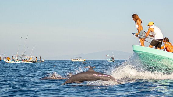 Puerto EscondidoExperiences