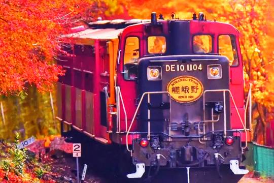 日本京都三千院+嵐山+嵐山嵯峨野觀光小火車一日遊