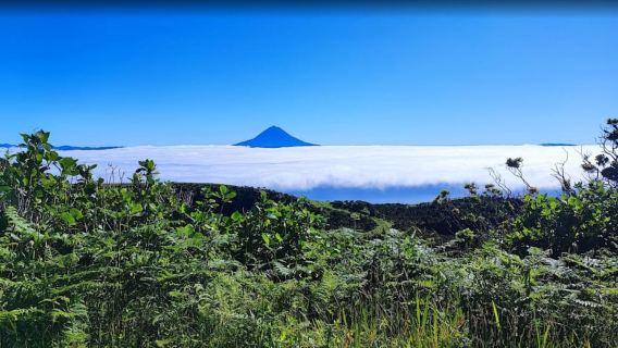 Petualangan Panorama Pulau São Jorge – Tur 4 Jam