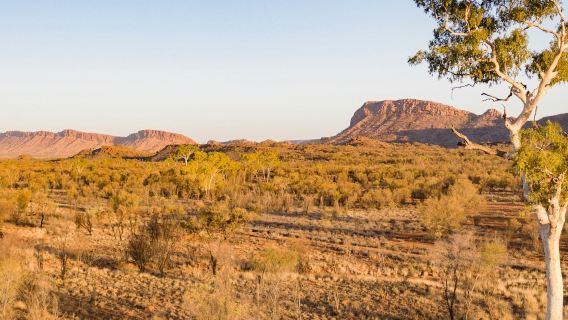 West MacDonnell Ranges: Guided Tour + Roundtrip Transfer + Lunch