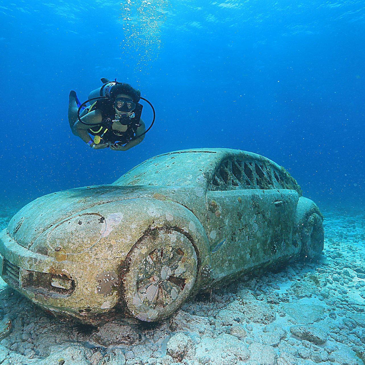 Cancún: Schnorcheln für Anfänger