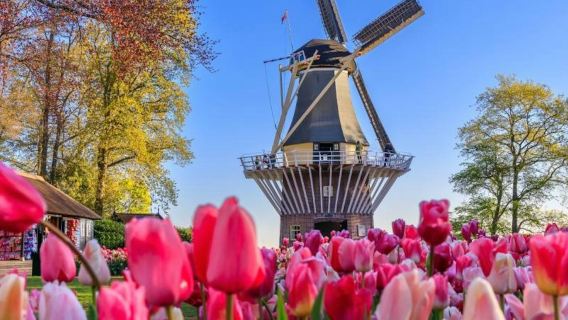 เคอเคนฮอฟ & ซานเซสคานส์: ทัวร์นำเที่ยวเต็มวันพร้อมเข้าชม