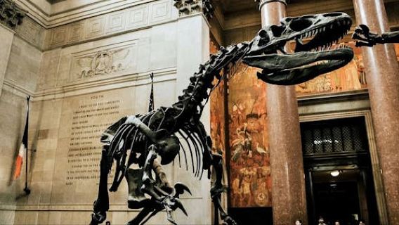 American Museum of Natural History ticket and self-guided audio tour