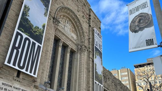 Toronto Chinatown + Royal Ontario Museum + Bata Shoe Museum one-day tour(English & Chinese)