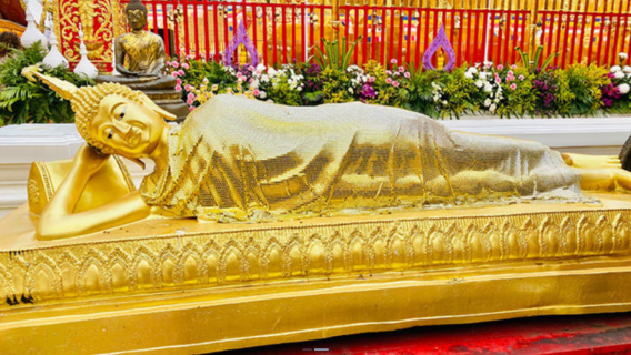 ทัวร์เชียงใหม่ดอยสุเทพ วัดดอยสุเทพ + มหาวิทยาลัยเชียงใหม่/สวนสัตว์กลางคืน ภายในเวลาเปิดทำการ- ทางเลือกที่ดีสำหรับทารกและผู้ปกครอง แนะนำสำหรับการพักผ่อน! - คอร์สเรียน