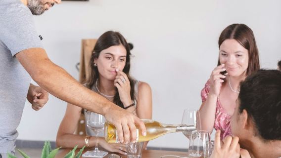Wine Tasting in Alcamo, Sicily