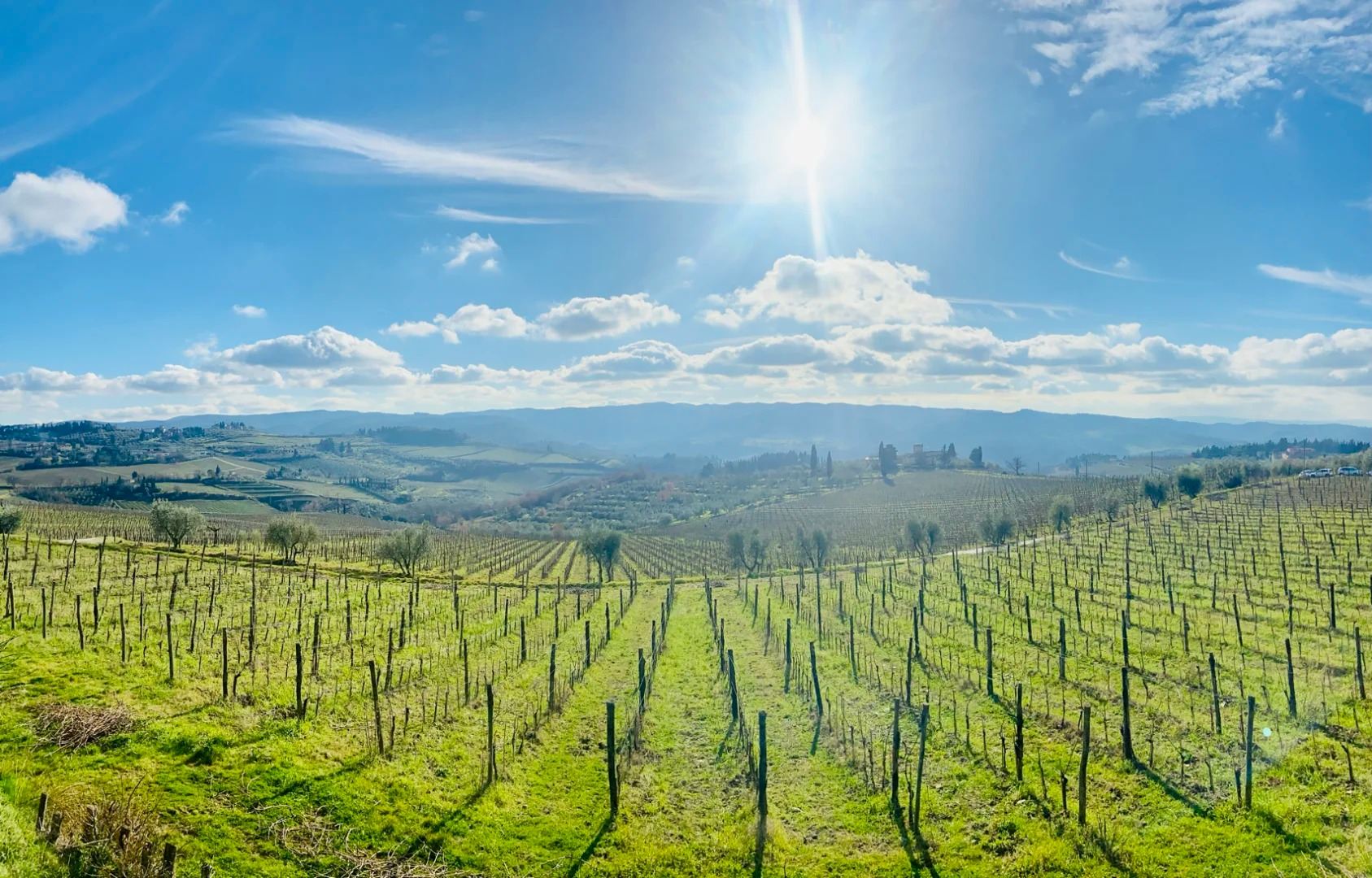 義大利錫耶納+聖吉米尼亞諾+比薩斜塔【基安蒂酒莊須預約】