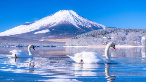 Tokyo Mt. Fuji + Tasik Shoji + Tasik Yamanaka + Tasik Kawaguchi Lawatan Sehari, Bandar Tangga, Oshino Hakkai
