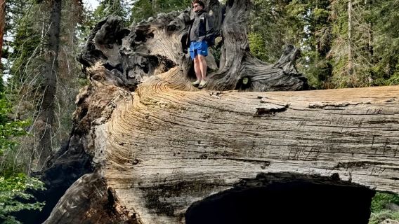 美國洛杉磯%巨杉國家公園/帝王峽谷包車12h【精選老司機】