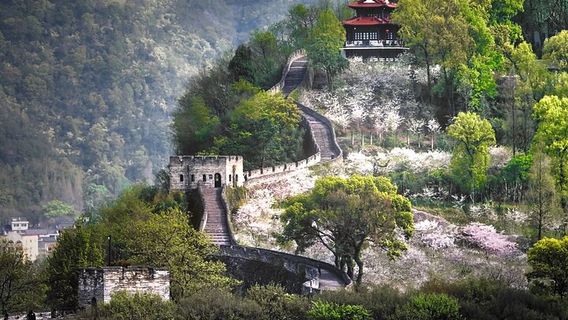 ShanghaiTours