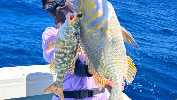 沙巴亞庇休閒海釣/深海海釣普通話服務【可選共船或包船】