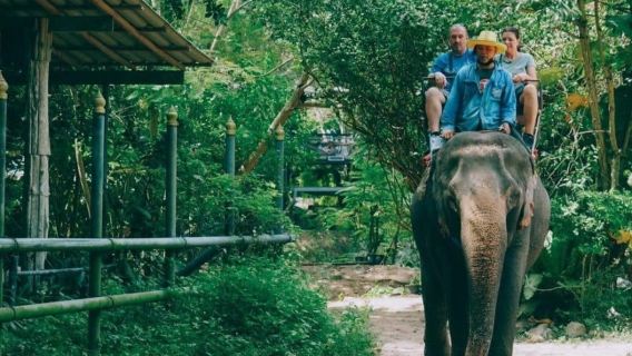ทัวร์ครึ่งวันหมู่บ้านช้างพัทยา ประเทศไทย [ขี่ช้าง|ทัวร์ผจญภัยด้วยรถจี๊ป|เดินป่า|รวมอาหารหลัก|คาเฟ่ดังแห่งอินเทอร์เน็ต Mongchang Cafe การแสดงสุดอัศจรรย์