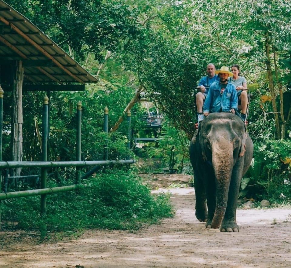 ทัวร์ครึ่งวันหมู่บ้านช้างพัทยา ประเทศไทย [ขี่ช้าง|ทัวร์ผจญภัยด้วยรถจี๊ป|เดินป่า|รวมอาหารหลัก|คาเฟ่ดังแห่งอินเทอร์เน็ต Mongchang Cafe การแสดงสุดอัศจรรย์
