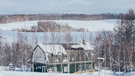 Hokkaido Snow Fun Day Tour: Asahiyama Zoo + Shirogane Blue Pond (Aoiike) + Panoramic Flower Gardens Shikisai-no-oka|9–13 People Group