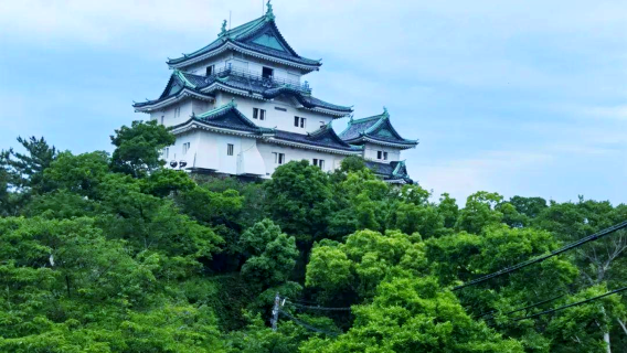 日本大阪+和歌山+三段壁+千疊敷一日遊/行程可調-可定制多日
