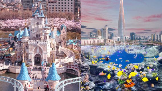 Seoul Sky Day Tour [Includes Duty-Free Shop Coupon]